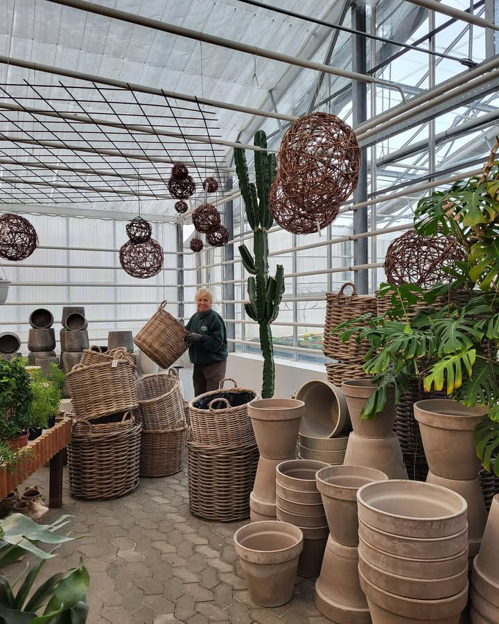 Asmild Plantecenter ApS opdaterer butikken med rengøring og omrokering