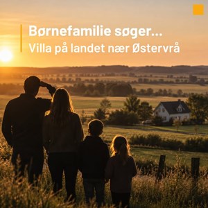 Opslagsbillede