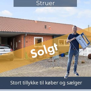 Opslagsbillede