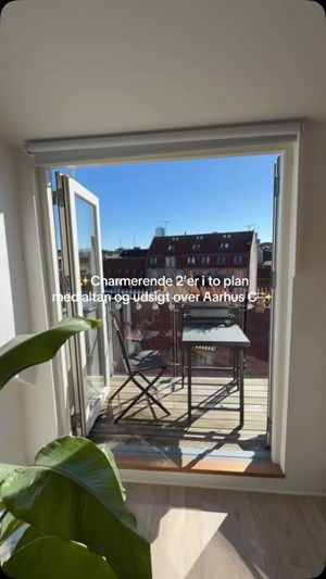 opslagsbillede