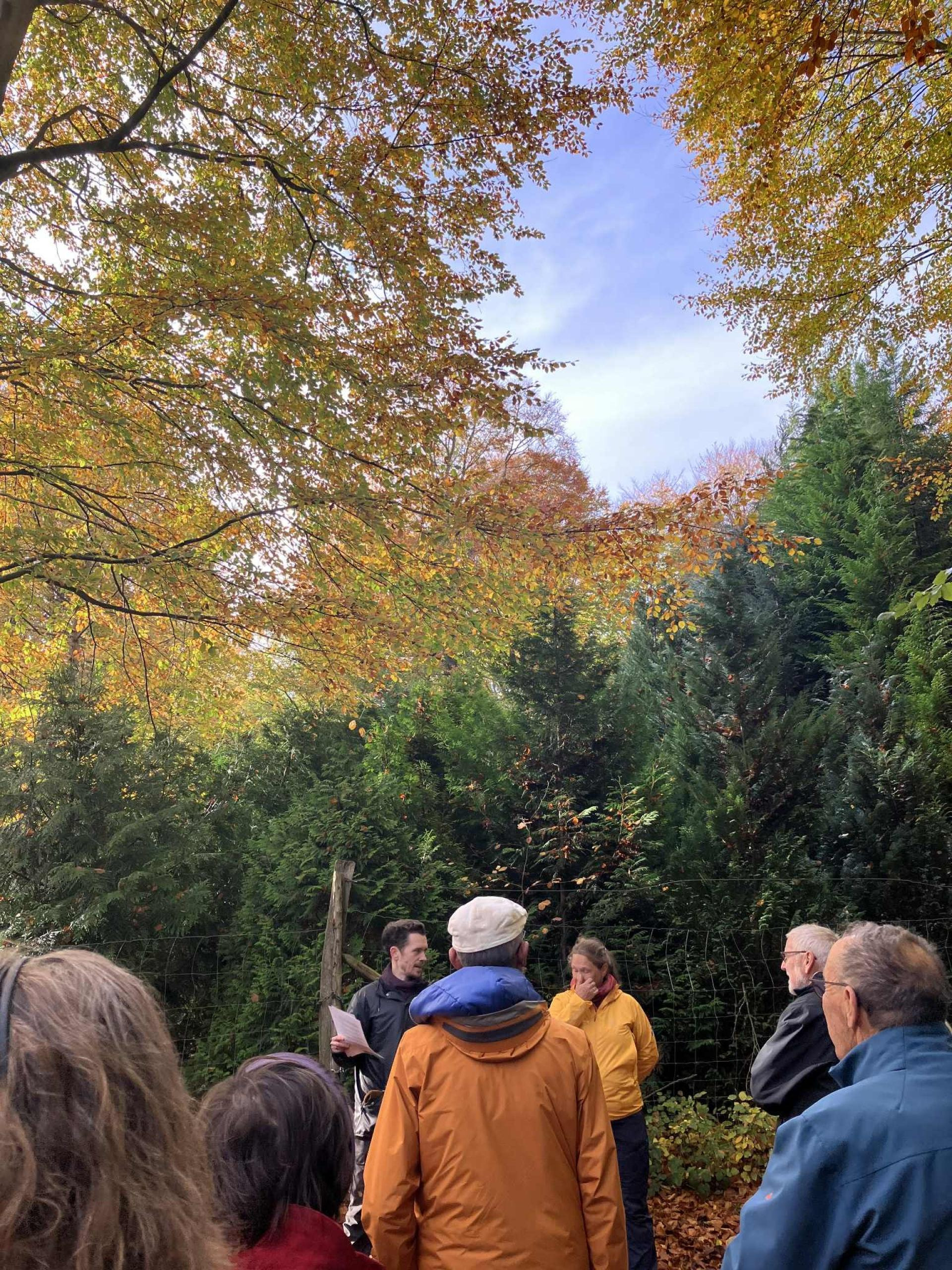 Udforsk natur og litteratur på De Vilde Blomsters Dag