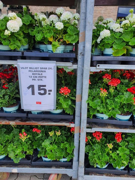 Hold dig ajour med dagens opdateringer fra Viby J