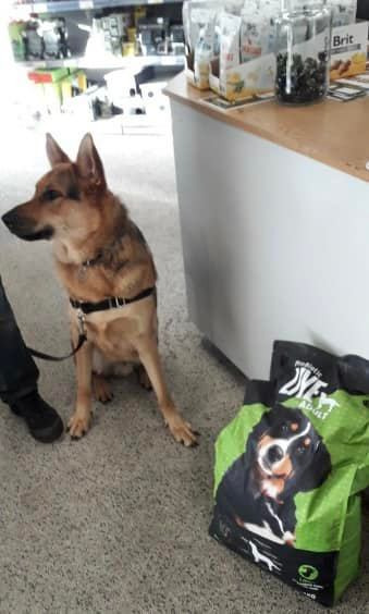 Det nyeste på Hernings opslagstavle