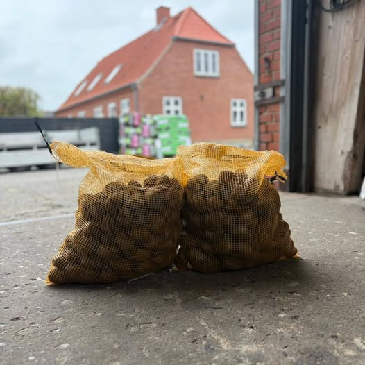 Resen Landhandel har kartofler tilbage fra 40 kr.