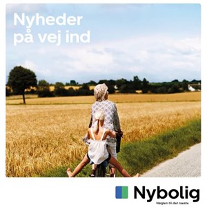 Opslagsbillede