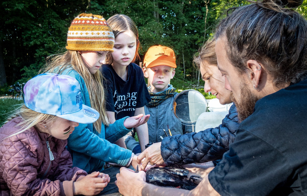 Smag en råge i Lystrup Sønderskov