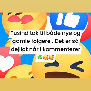 Opslagsbillede