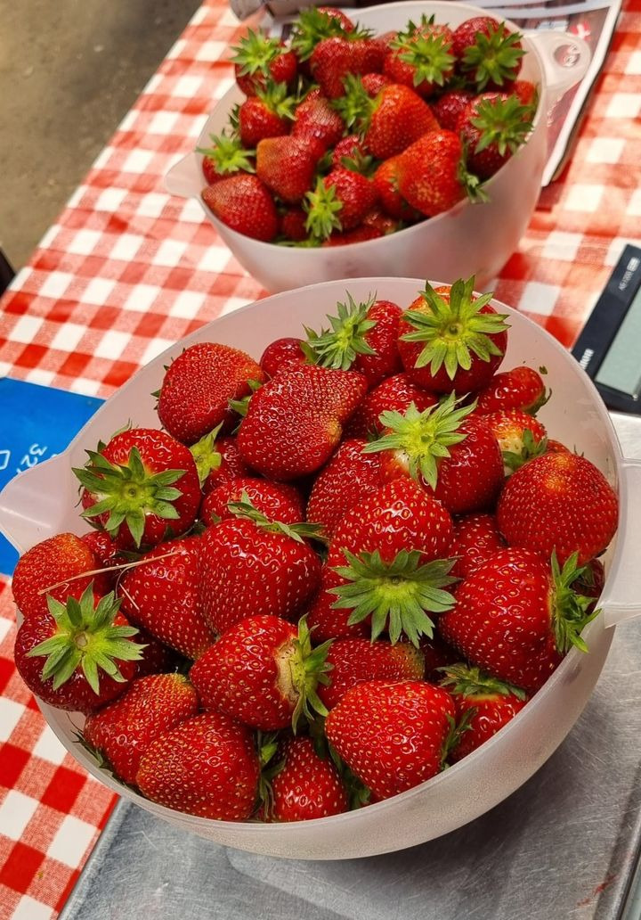 Det nyeste på Sæbys opslagstavle