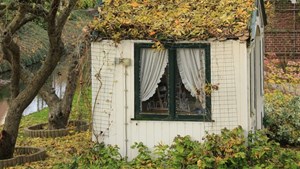 Undgå at din bygning er et ferieparadis for rotter