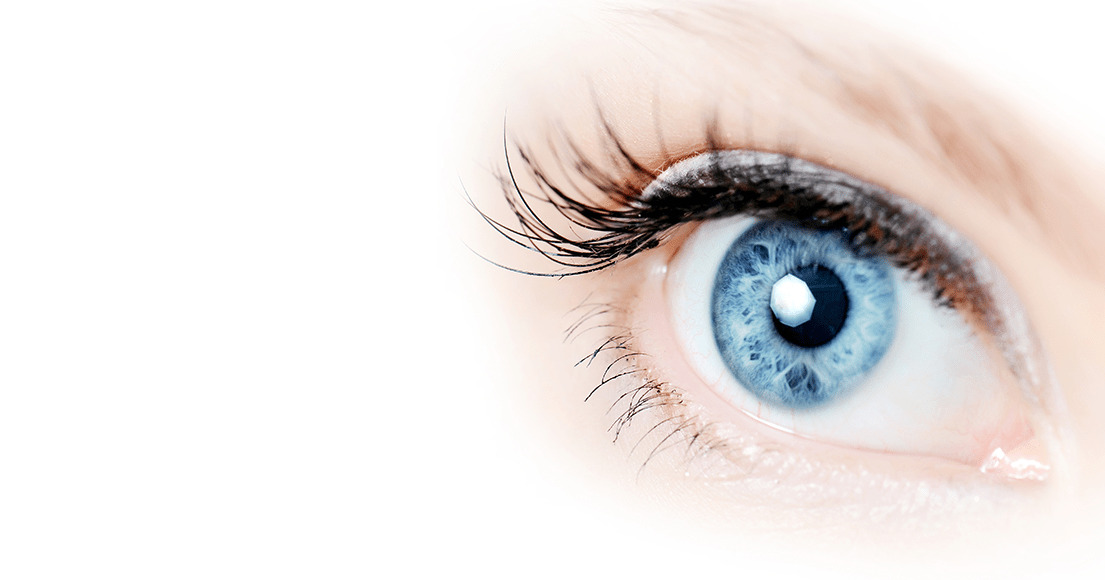 Hold dig ajour med dagens opdateringer fra Ikast