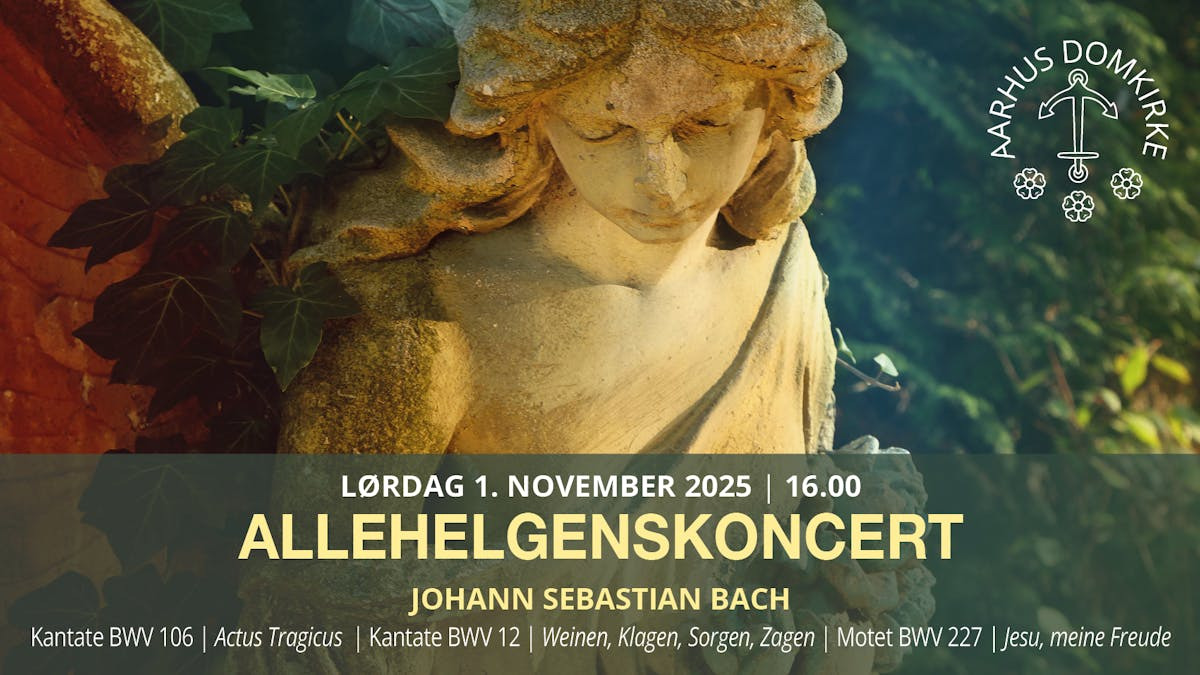 Oplev Bachs mesterværker i Aarhus Domkirke