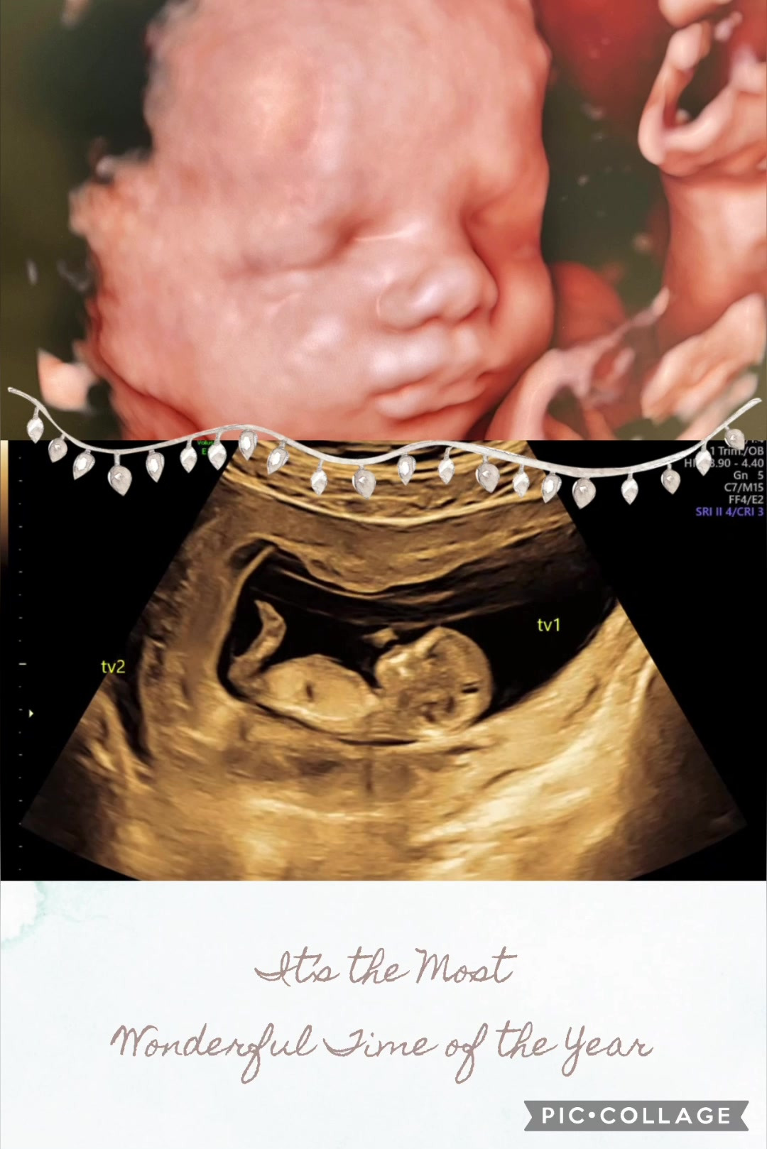 Opslagstavlen: Nyeste opdateringer fra Ikast