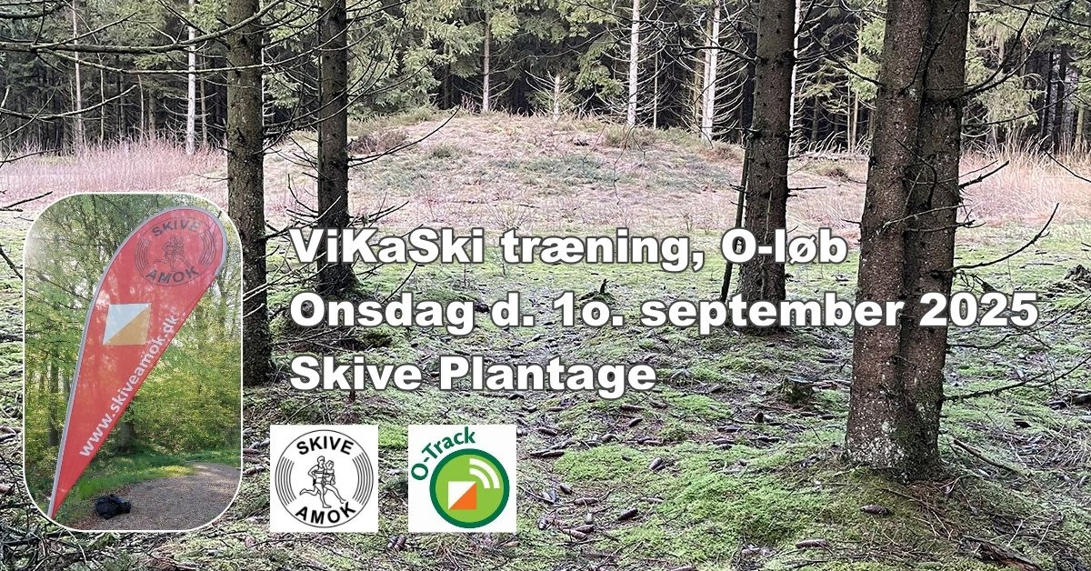 Træningsløb for alle aldre i Skive Plantage