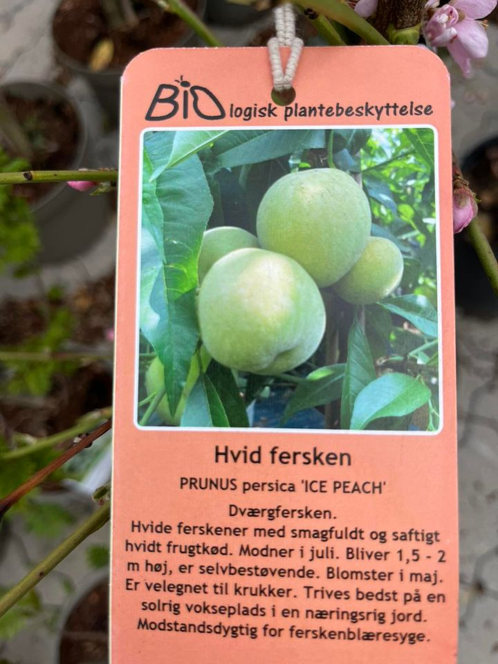 Nyt på opslagstavlen i Hedensted