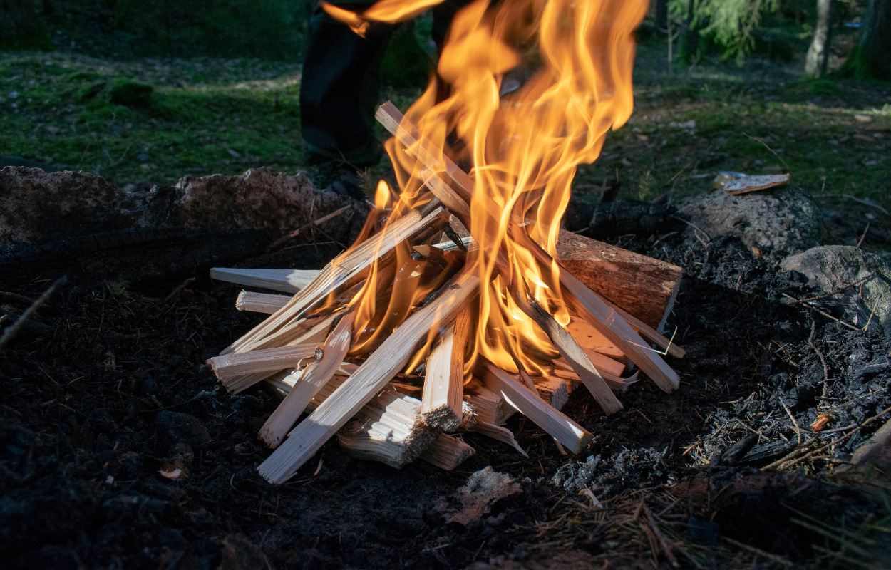 Kom ud i naturen i Favrskov Kommune og lad din hjerne få en pause