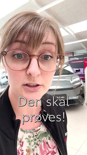 opslagsbillede
