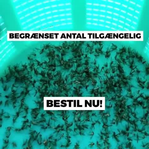 Se dagens updates fra Odder her