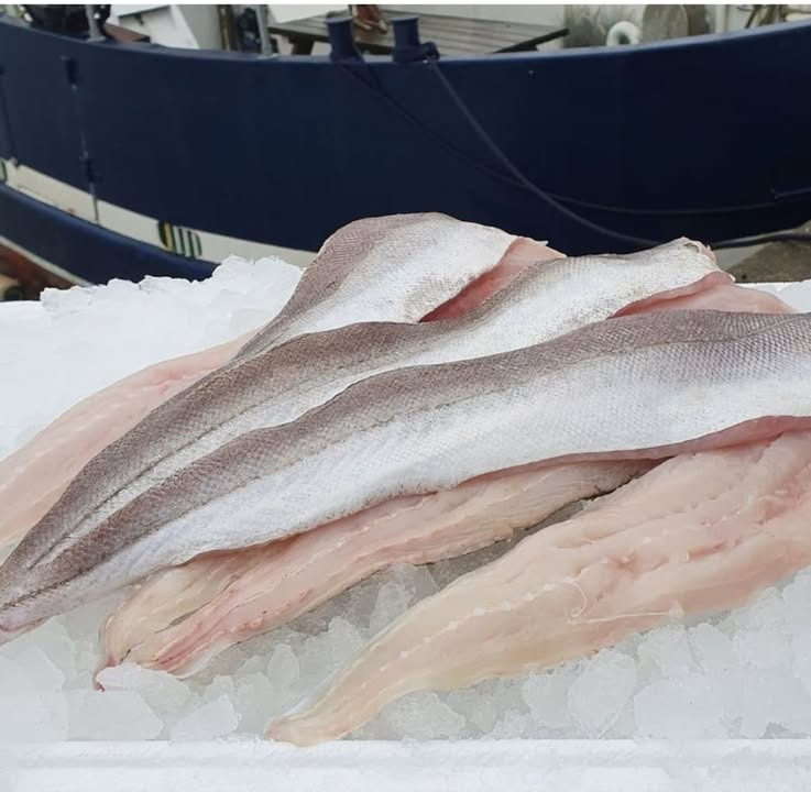 Meny Hobro tilbyder kulmulefilet til kun 299 kr.