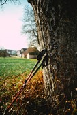 Fælles stavgang for ældre i Vallensbæk