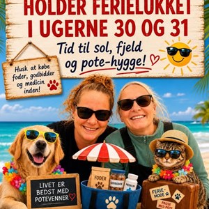 Opslagsbillede