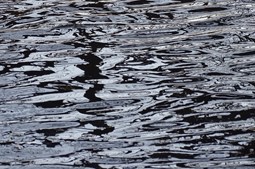 Sindal får nu glæde af et helt nyt naturområde