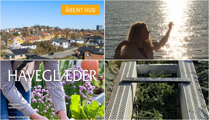 Nyt fra Trenskow, Mæglerhuset Aalborg, StartDriving.dk - Hosbonds Køreskole og 2 andre