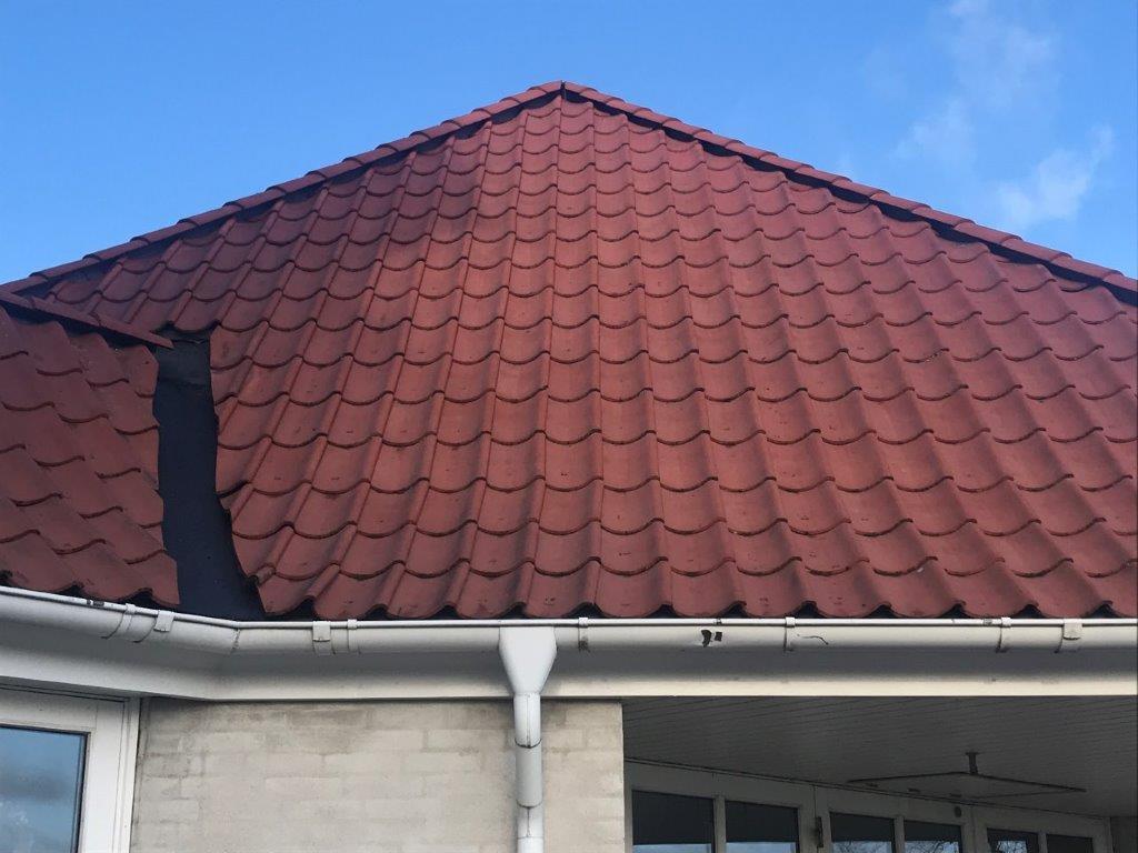 Undgå bøder og fiskedød: Vælg din tagrens med omtanke for Helsingørs vandmiljø