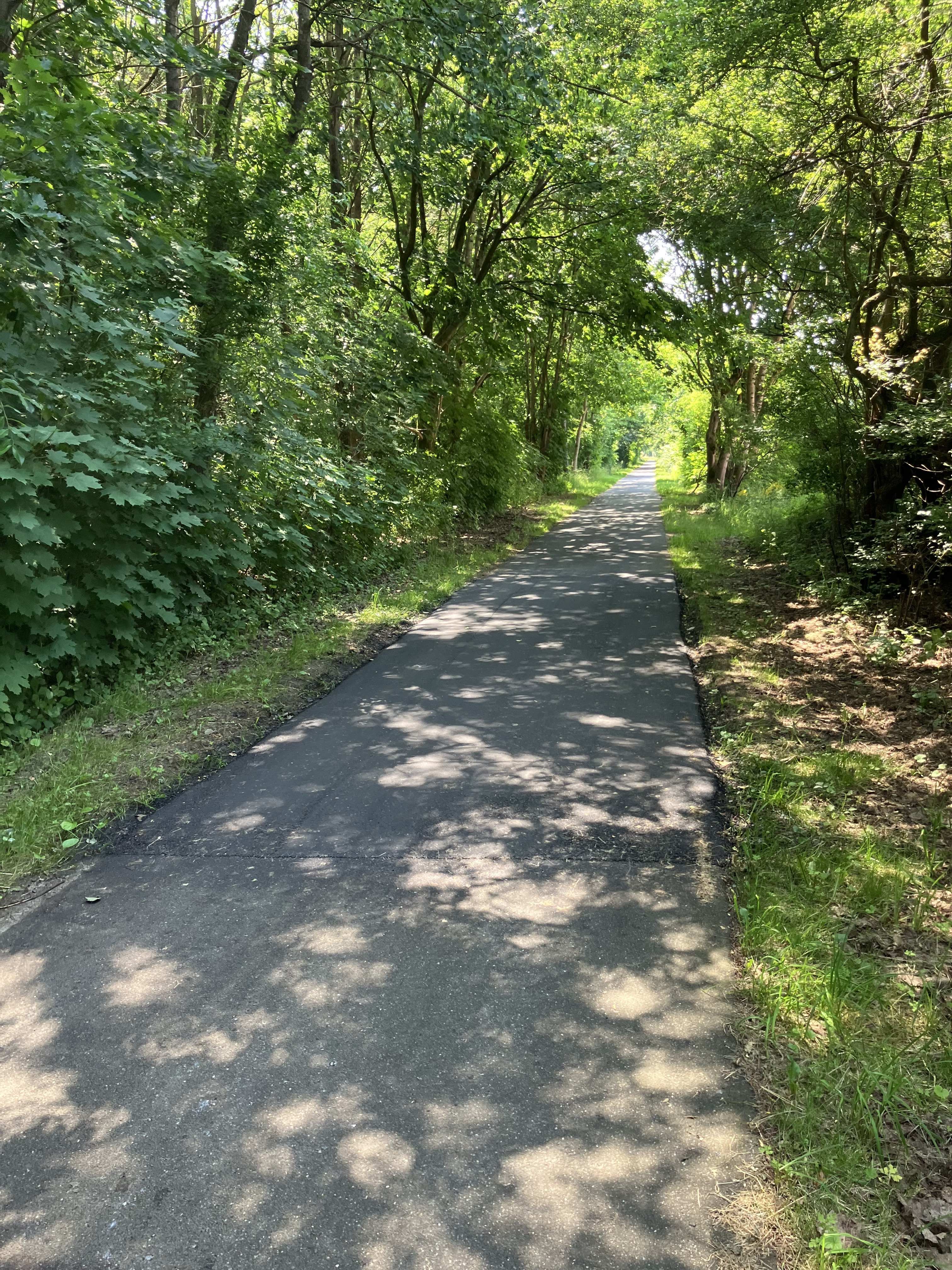 Kom med på gåtur i Nordbyen med Gå-gruppen Viborg