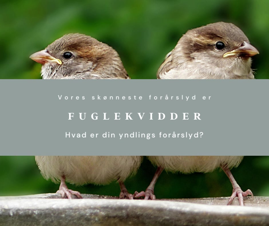 Hold trit med lokalområdet: Nyt fra Viborg