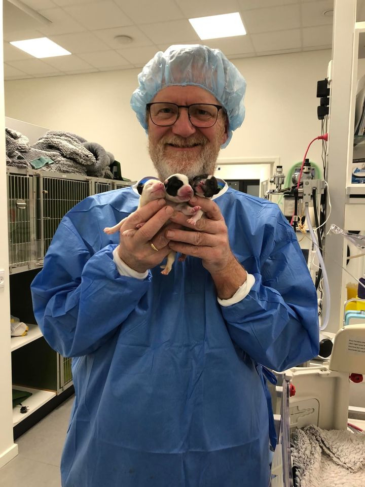 Opslagstavlen: Nyeste opdateringer fra Herning