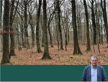 Landbogruppen Sønderjysk tilbyder 2 ha velplejet skov til salg – forbehold for landbrugsejere