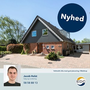Opslagsbillede