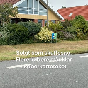 Opslagsbillede