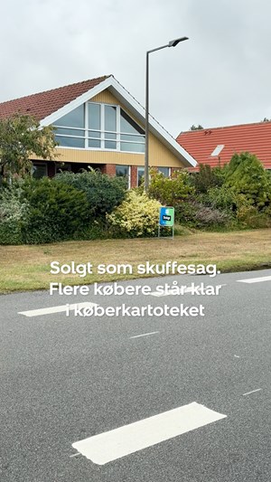 opslagsbillede