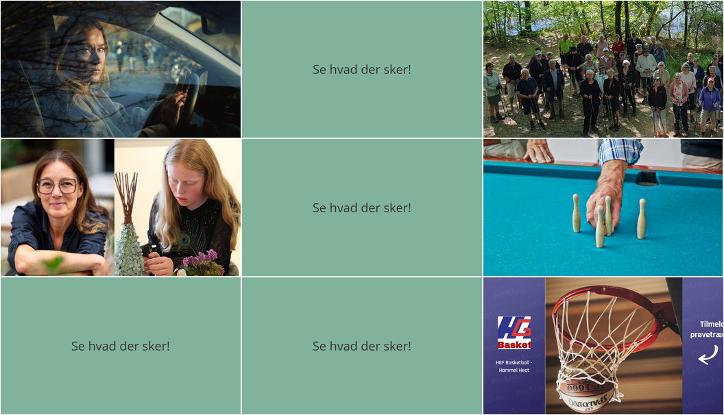 Spændende aktiviteter i Hammel i den kommende uge
