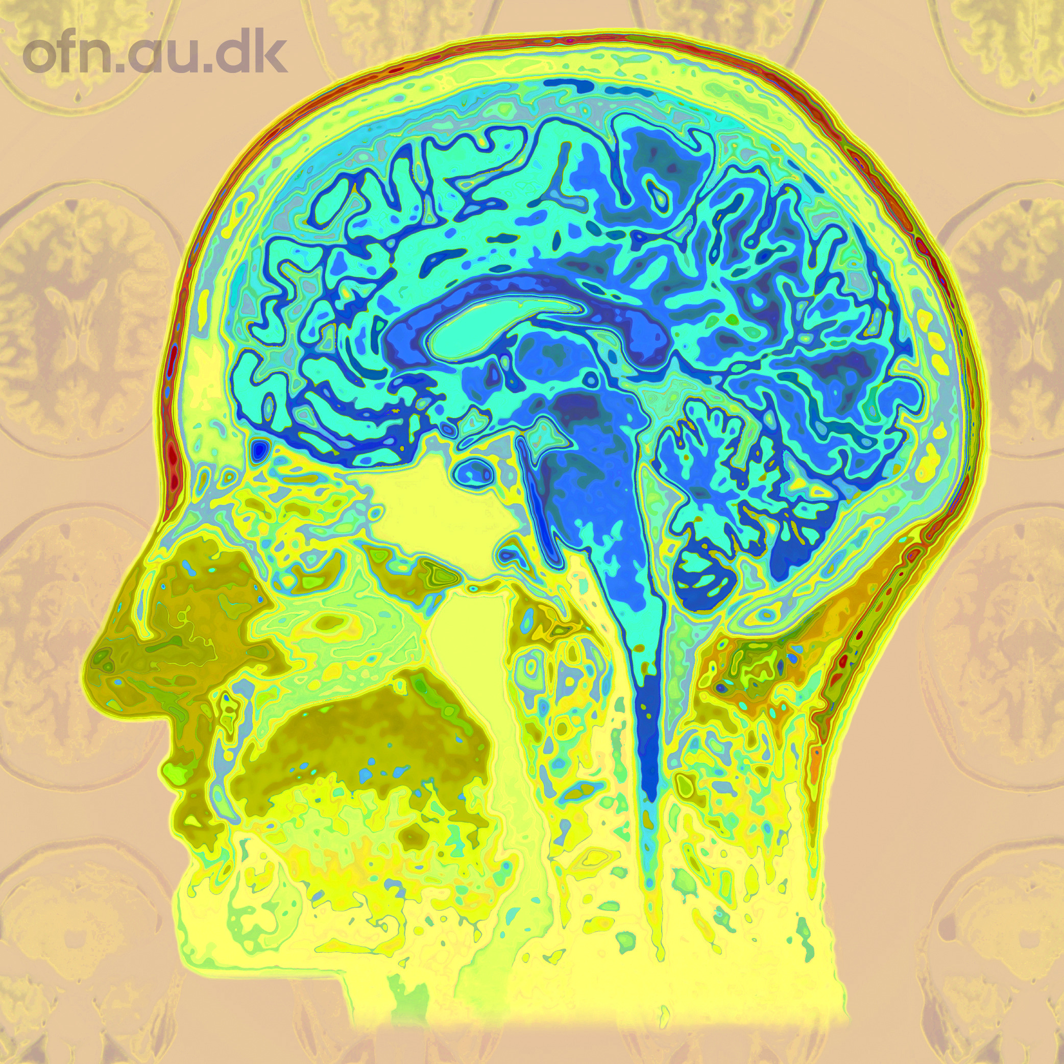 Foredrag på Allerød Bibliotek: Find mening med livet gennem ny hjerneforskning