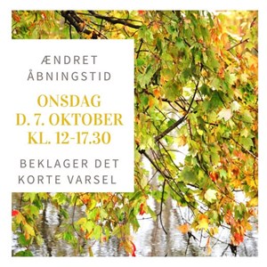 Opslagsbillede