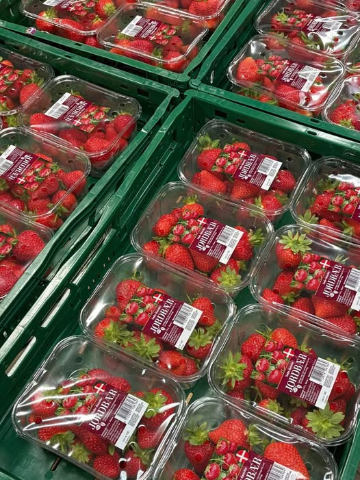 Midtjydsk Gartnerhal byder på friske jordbær og gode tilbud