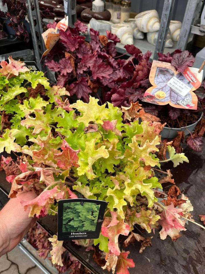 Opslagstavlen: Nyeste opdateringer fra Odder