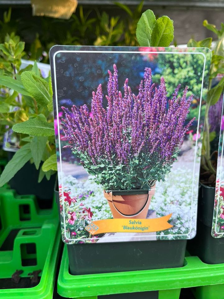 Opslagstavlen: Nyeste opdateringer fra Odder