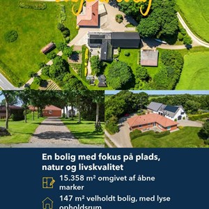 Opslagsbillede