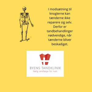 opslagsbillede