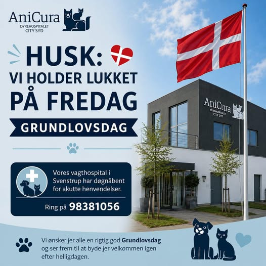 AniCura Aalborg holder lukket fredag på Grundlovsdag
