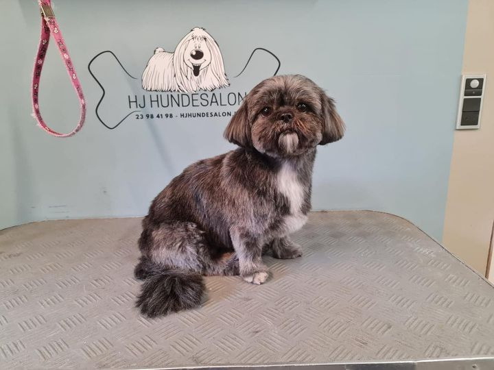 Det nyeste på Sæbys opslagstavle