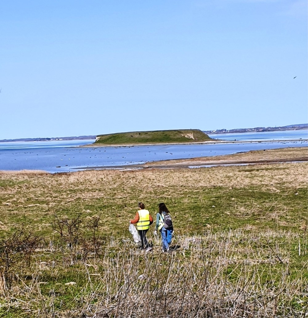 Affaldsfri Fjord: Strandoprydning i Roskilde