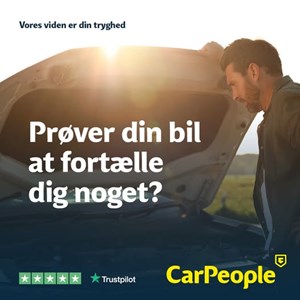 opslagsbillede