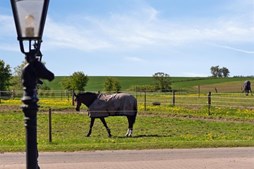 Top 6 over dyreste boliger til salg i Randers. Priser op til 8.800.000 kr