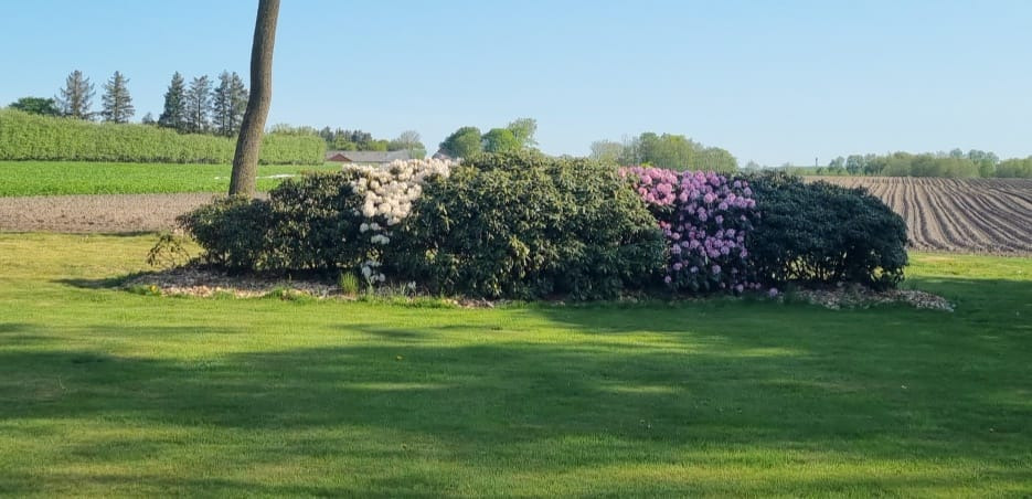 Se dagens updates fra Sæby her