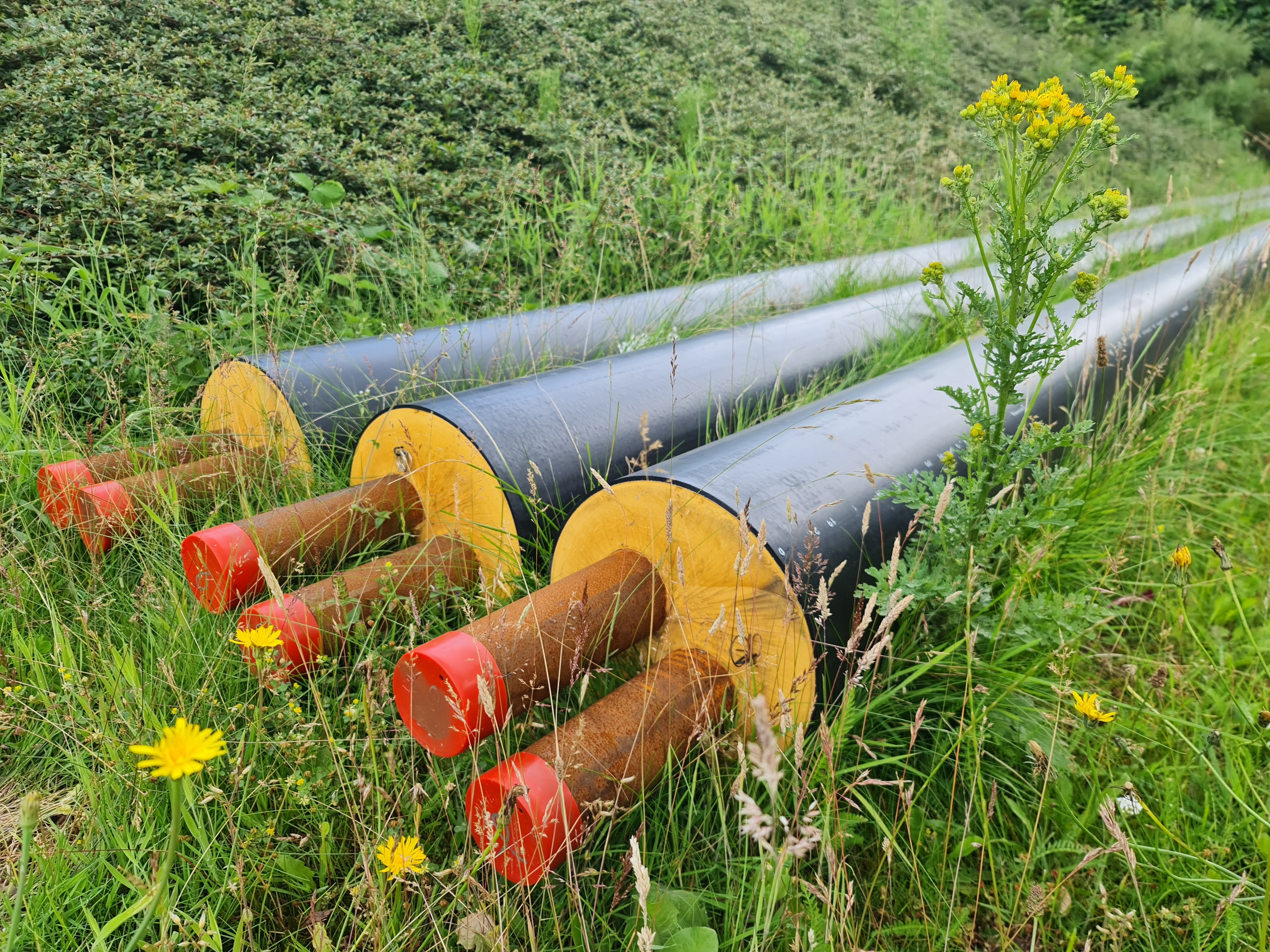 Sønderborg Kommune indgår samarbejde med Danish Crown om nyt fjernvarmeprojekt i Blans