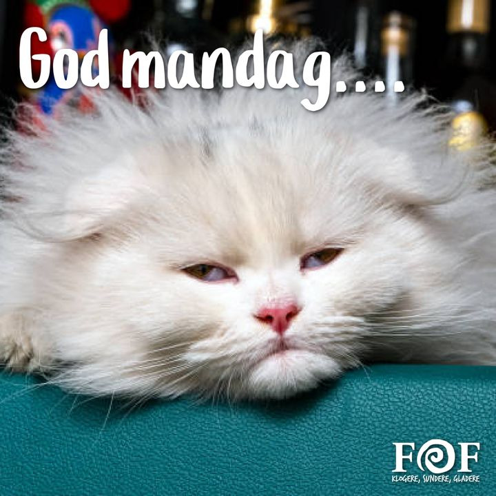 Opdatér dig her: Det nyeste fra Horsens